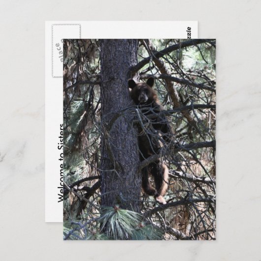 Welkom bij Sisters Briefkaart (Voorkant / Achterkant)