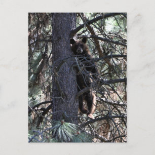 Welkom bij Sisters Briefkaart