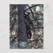 Welkom bij Sisters Briefkaart (Voorkant)