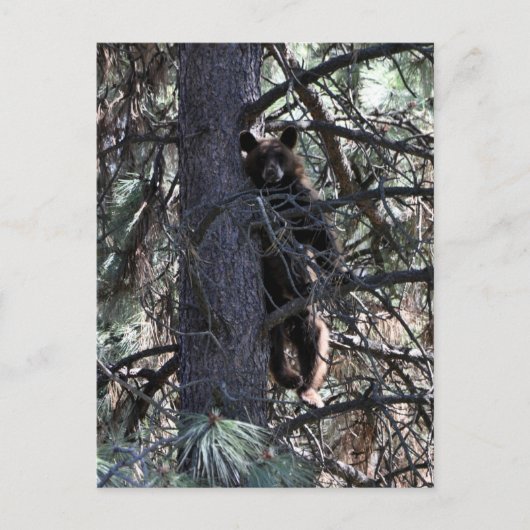 Welkom bij Sisters Briefkaart (Voorkant)