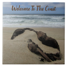 Welkom bij Surven Sand Driftwood West Coast Landsc Tegeltje