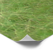 Welkom bij Wisconsin Dairy Koeien Foto Poster (Hoek)