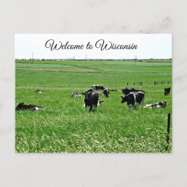 Welkom bij Wisconsin Koeien in Field Briefkaart