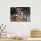 Welkom Douche Hippopotamus Portret Poster (Keuken)