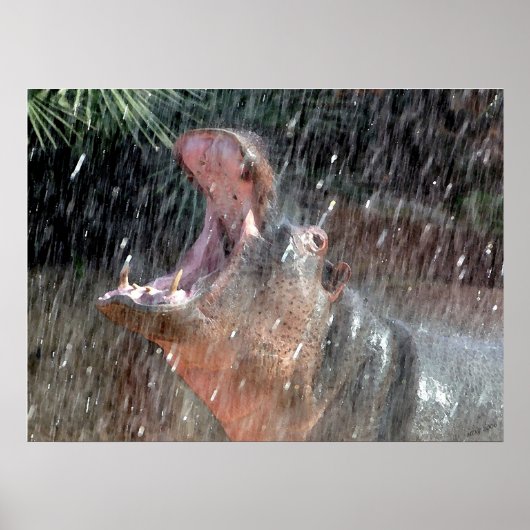 Welkom Douche Hippopotamus Portret Poster (Voorkant)