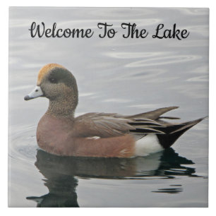Welkom Duck Foto Wigeon Calm Water Lake House Tegeltje