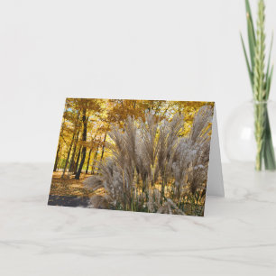 Welkom Herfst Golden Twilight Miscanthus Kaart