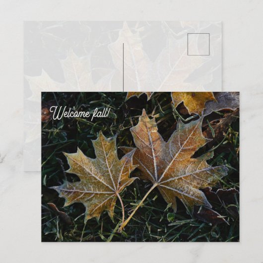 Welkom herfst herfstbladeren briefkaart (Voorkant / Achterkant)