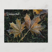 Welkom herfst herfstbladeren briefkaart (Voorkant)