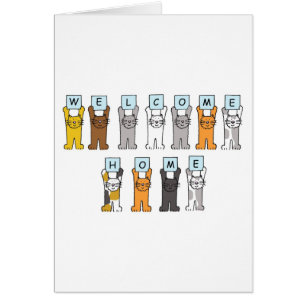 Welkom Home Cute Cartoon Cats