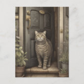 Welkom Home Kat Briefkaart (Voorkant)