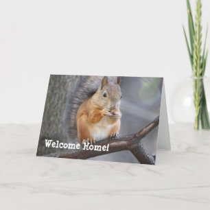 Welkom Home Red Squirrel Wenskaart Kaart