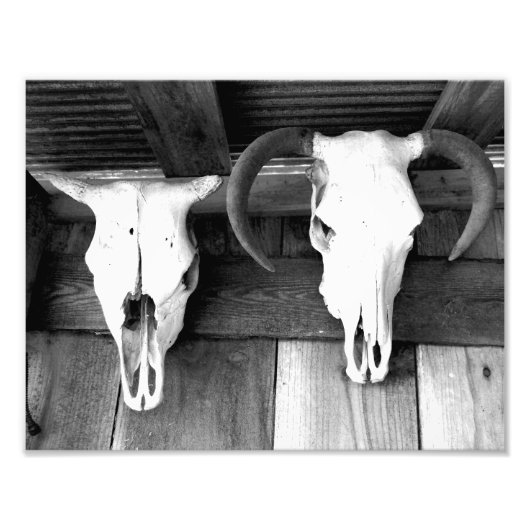 Welkom in Arkansas Foto Afdruk (Voorkant)