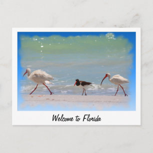 Welkom in Florida zomervakantie-briefkaart Briefkaart