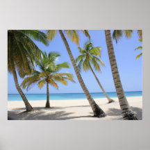 Welkom in het Paradijs