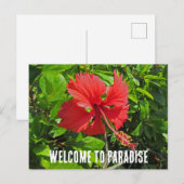 Welkom in het tropische bloemenparadijs aan het st briefkaart (Voorkant / Achterkant)