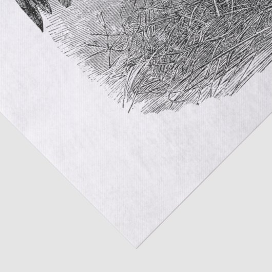 Welkom in ons Boerderij  kippenweefsel Tissuepapier (Detail)