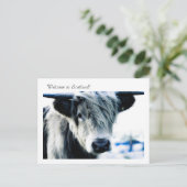 Welkom in Schotland! Briefkaart (Staand voorkant)