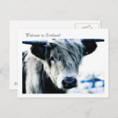 Welkom in Schotland! Briefkaart (Voorkant / Achterkant)