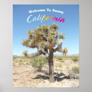 Welkom in Sunny California Poster