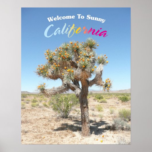Welkom in Sunny California Poster (Voorkant)