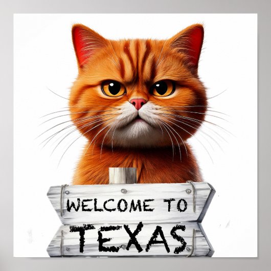Welkom in Texas Poster (Voorkant)