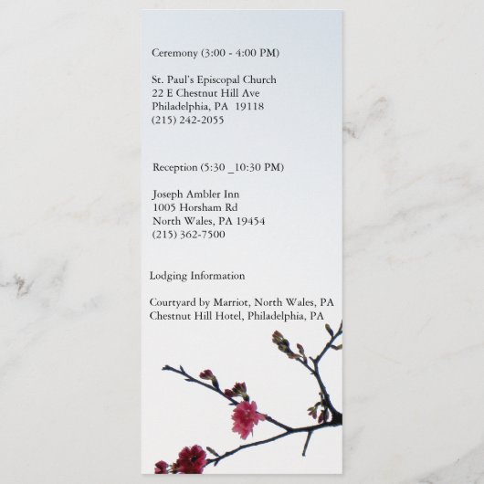 Welkom Lente Dubbel Geluk Sakura Menu (Achterkant)