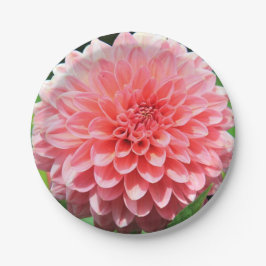 Welkom lente met een Giant Pink Dahlia Papieren Bordje