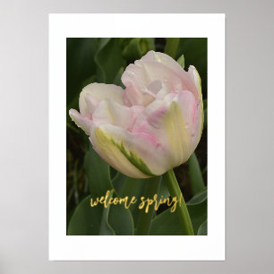 Welkom lente! Roze Tulp Folie Tekst Afdrukken Post