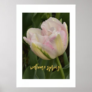 Welkom lente! Roze Tulp Folie Tekst Afdrukken Post Folie Afdrukken