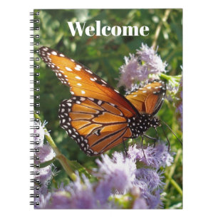 Welkom Monarch Butterfly Foto Guest Commentaar Notitieboek