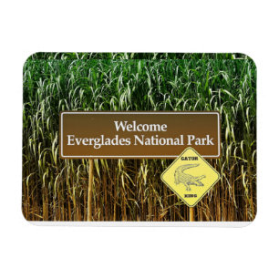 Welkom Nationaal park Everglades, Alligatorovergan Magneet