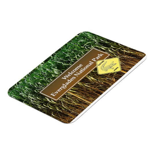 Welkom Nationaal park Everglades, Alligatorovergan Magneet (Linkerzijde)