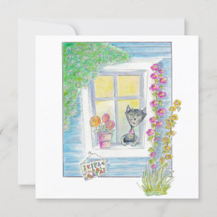 Welkom - Nieuw thuis, nieuwe kat - wat je ook wilt