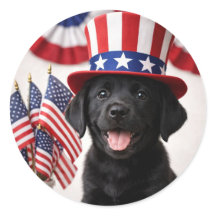 Welkom Nieuwe Amerikaanse Burger Patriotische Rond