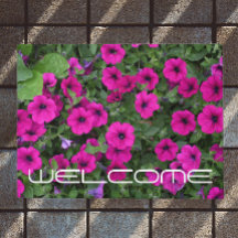 Welkom, roze Petunias Floral