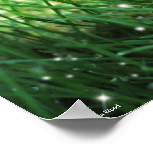 Welkom terug naar het Poster van de School (Hoek)