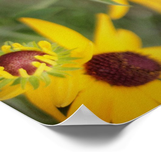 Welkom terug naar het Poster van de School (Hoek)