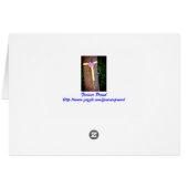 Welkom thuis en bedankt militair Wenskaart (Achterkant Horizontaal)