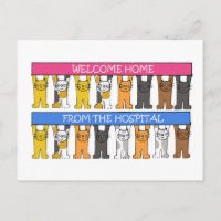 Welkom thuis in het ziekenhuis van Cartoon Cats