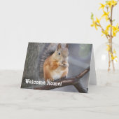 Welkom thuis Red Squirrel Wenskaart Kaart (Gele Bloem)