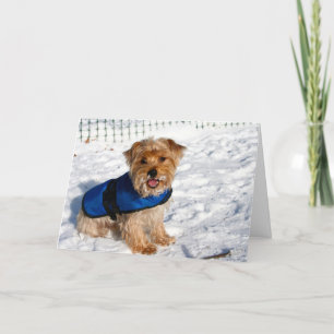 Welkom van puppy's! feestdagen kaart