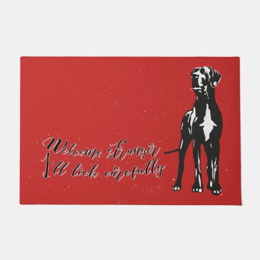 Welkom vreemdeling, ik lik voorzichtig deurmat (Voorkant)