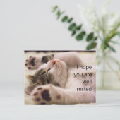 Welkome Briefkaarten voor het slapende Keukenkind (Staand voorkant)