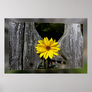 Welkome gele bloem poster