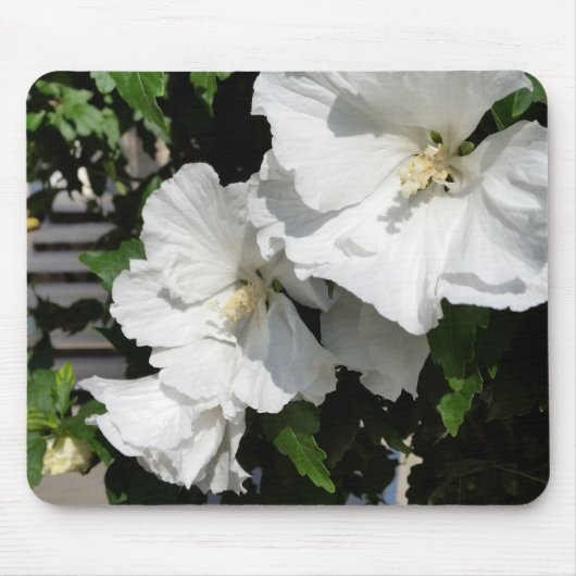 welkome witte bloemen muismat (Voorkant)