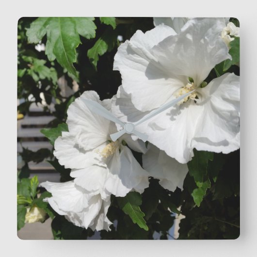 welkome witte bloemen vierkante klok (Voorkant)