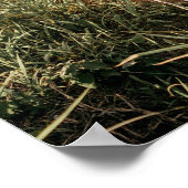 Welkomstbord verlovingsfeest met foto poster (Hoek)