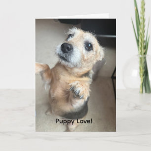 Welkomstkaart met puppy-liefde kaart