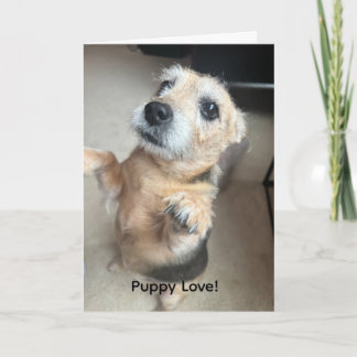 Welkomstkaart met puppy-liefde kaart